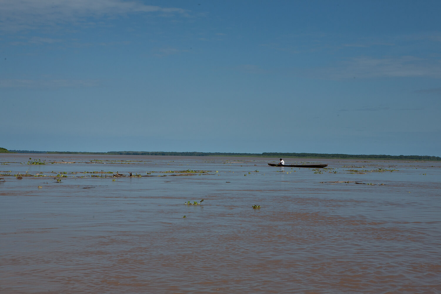 AMAZONAS 14 rio galeria_MG_3977.jpg